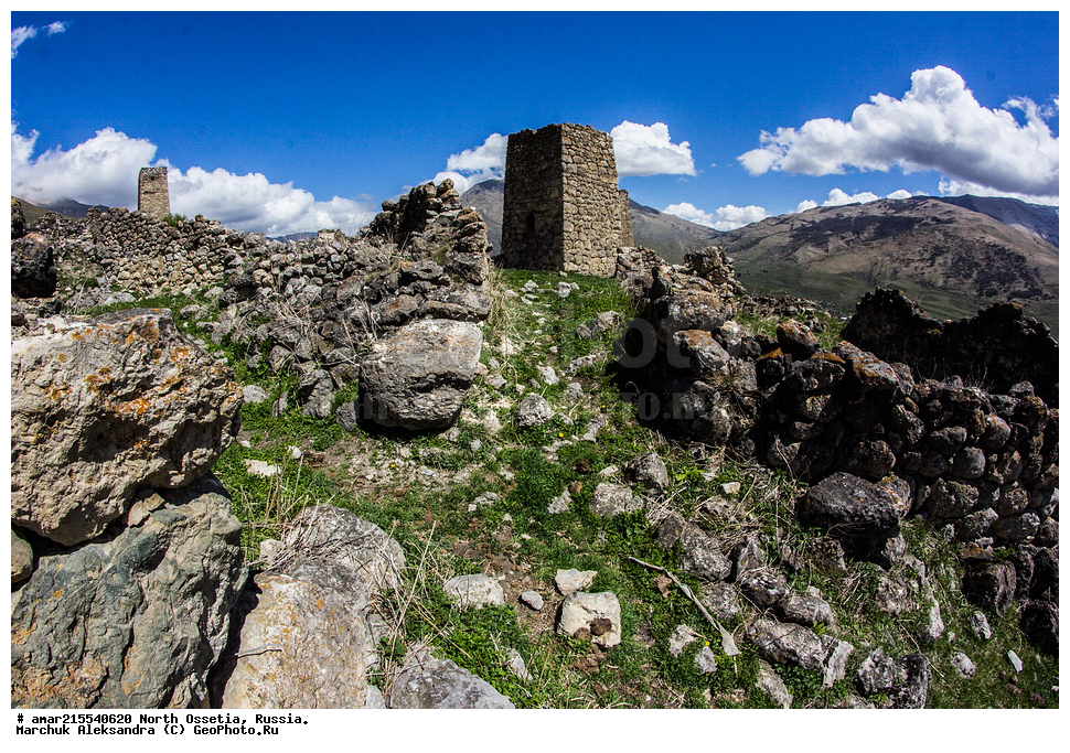 ����, �����, ������, ��������-������, ������, ������, ���, ������� ���������� ������, ����������� ������ 