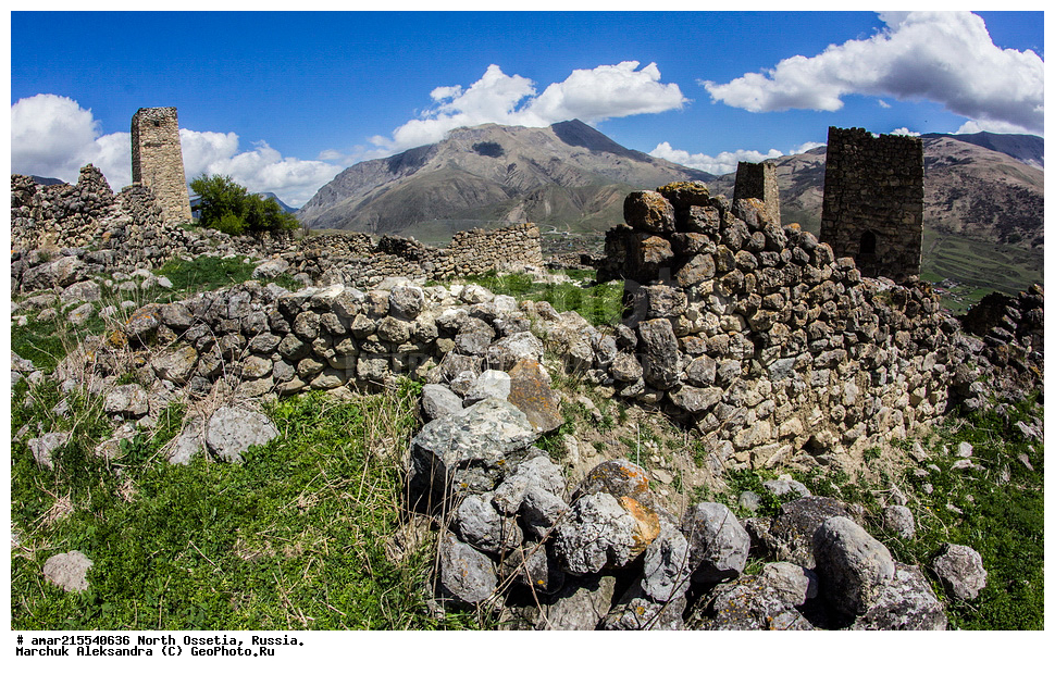 ����, �����, ������, ��������-������, ������, ������, ���, ������� ���������� ������, ����������� ������ 