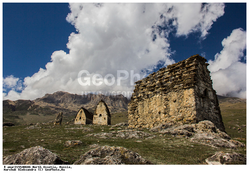 ����, �����, ������, ��������-������, ������, ������, ���, ������� ���������� ������, ����������� ������ 