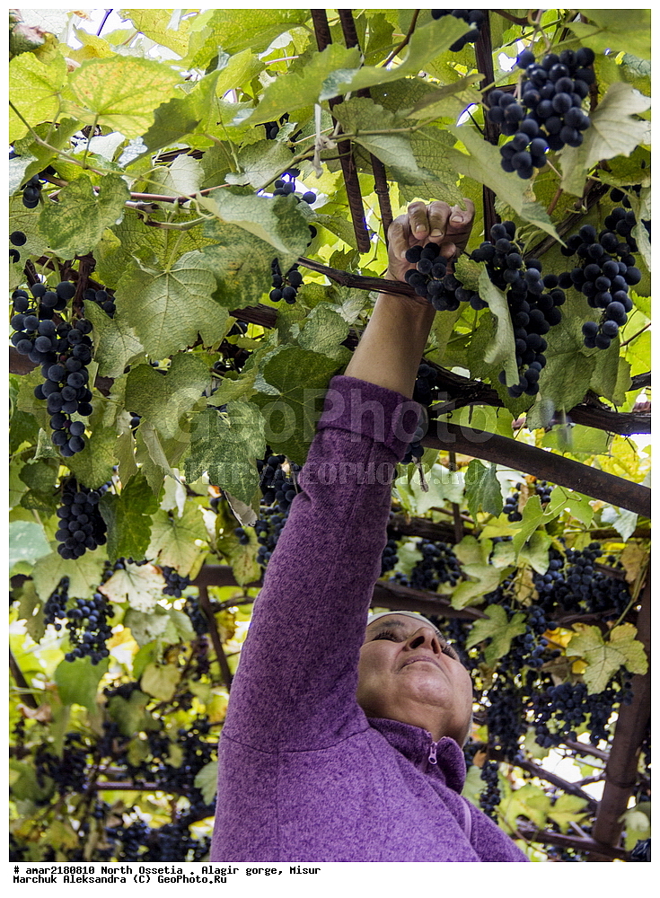 ���������� ������, ���������� �����, ���������� ������, ������, �����, ������, ���������� ����, �����, �������, ������, ��� ������, ���-������, ������, �������� ������, �����, ��������, ����������� ����, ����, ���� ������, ������ ������, ���� ������, �����, ���� �����, ���� �����