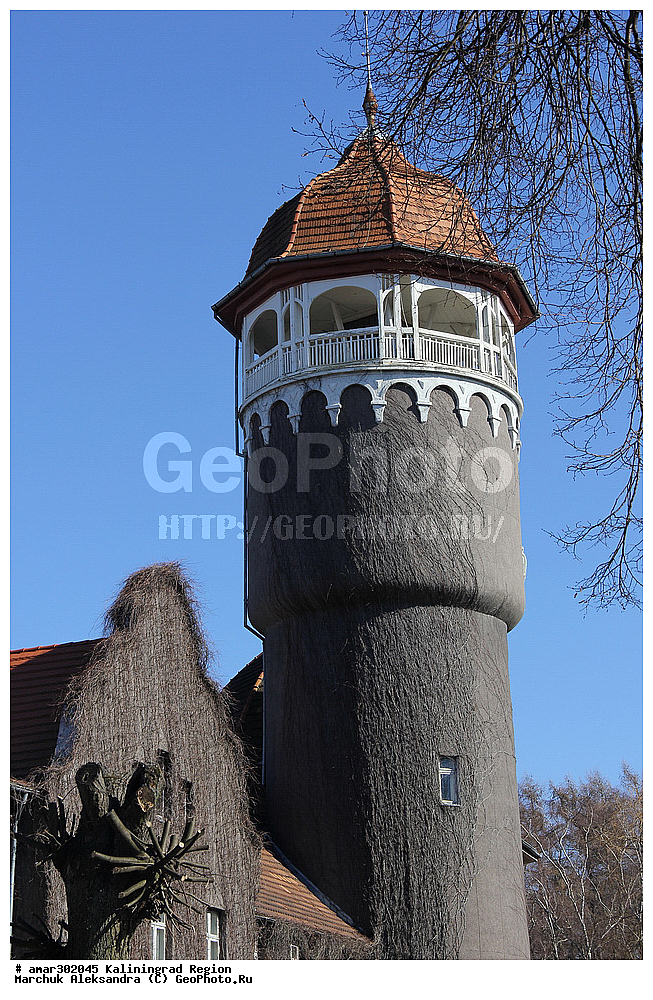 ��������������� �������, �����������, ������, �����,"����� �����������", ������������,�����,������,�������������,������������ ����� � ������ �������������, ����� ������������� ����������, ���������, ���� ������� ������, ������, ��������� ����,������� �������� ������, ������,������ ����������� ��������.

