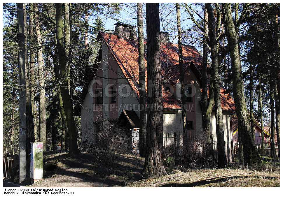 ��������������� �������, �����������, ������, ������, �����, ������,



