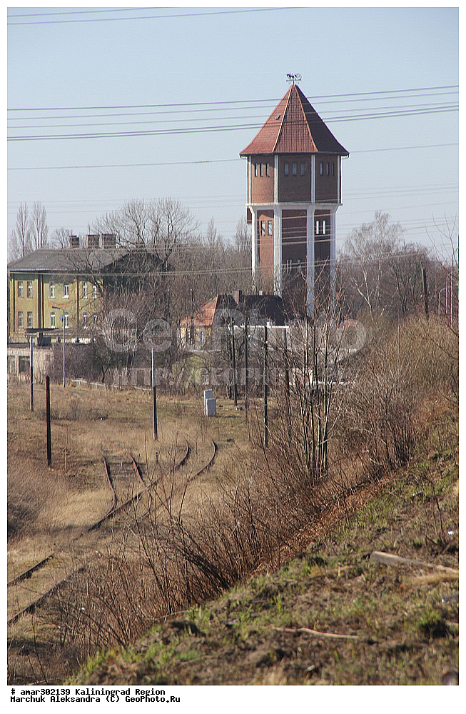 ��������, ����������, �������� ��������� �����, ��������������� �������, �������, ������������ �����, 1920 ���, �������� �����������.  

