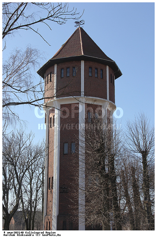 ��������, ����������, �������� ��������� �����, ��������������� �������, �������, ������������ �����, 1920 ���, �������� �����������.  