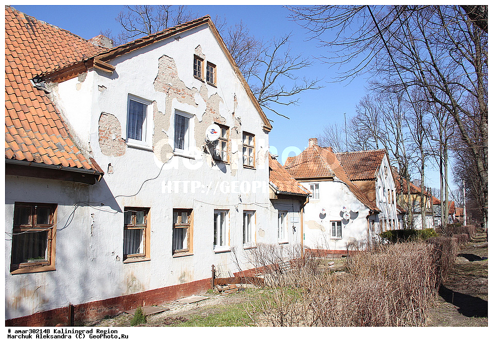 ��������������� �������, ��������, ����������, �������� ��������� �����,  �������, �����, ����, ��������