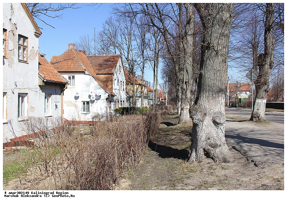 ��������������� �������, ��������, ����������, �������� ��������� �����,  �������, �����, �����, ����, ���, ��������, ���������� �����
