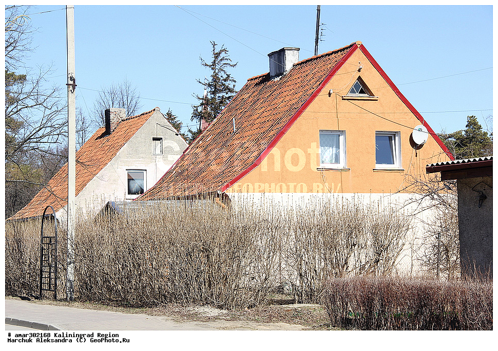 ��������������� �������, ��������, ����������, �������� ��������� �����,  �������, �����,����