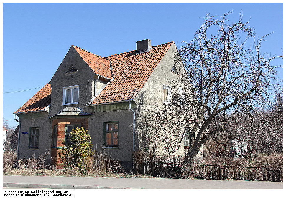 ��������������� �������, ��������, ����������, �������� ��������� �����,  �������, �����, ���, ��������

