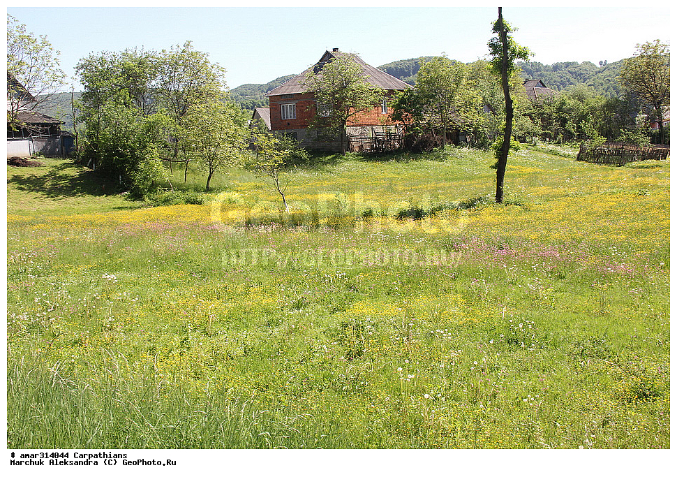 �������, �������, ����������