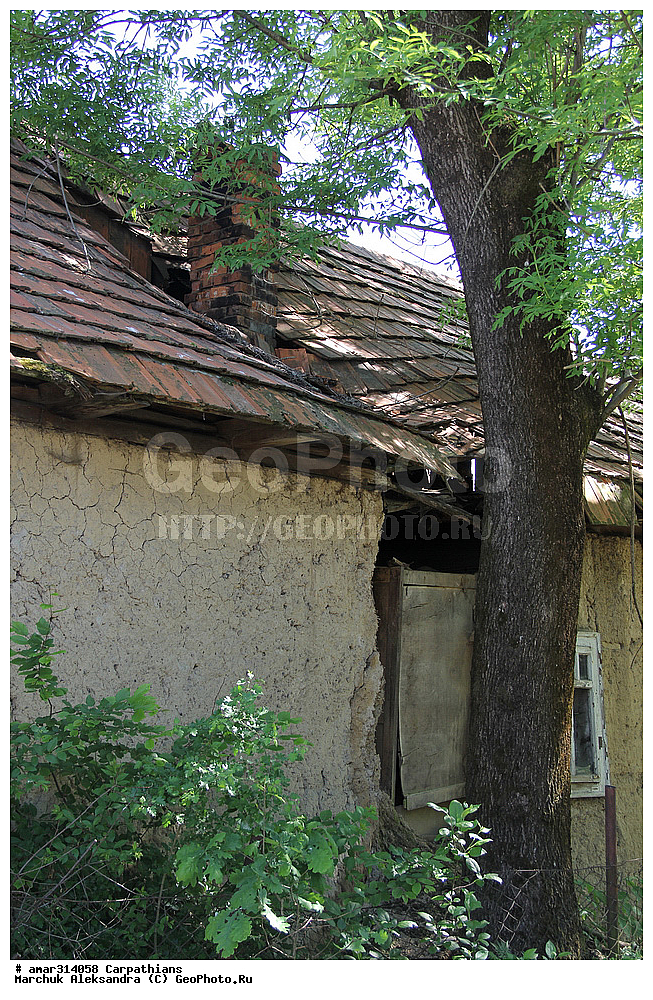 �������, �������, ����������