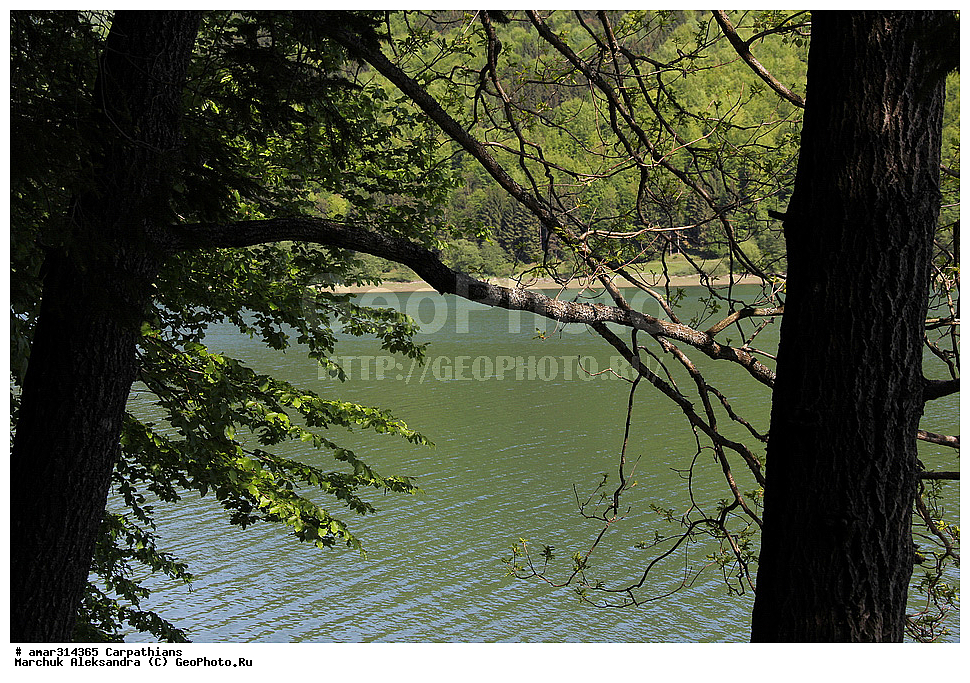 �������, �������, ����������