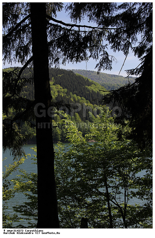 �������, �������, ����������