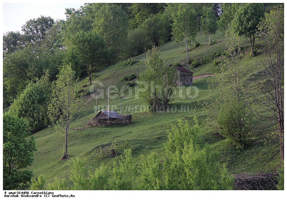 �������, �������, ����������