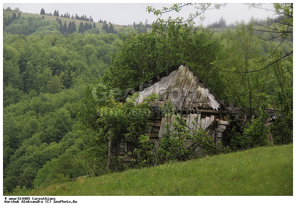 �������, �������, ����������