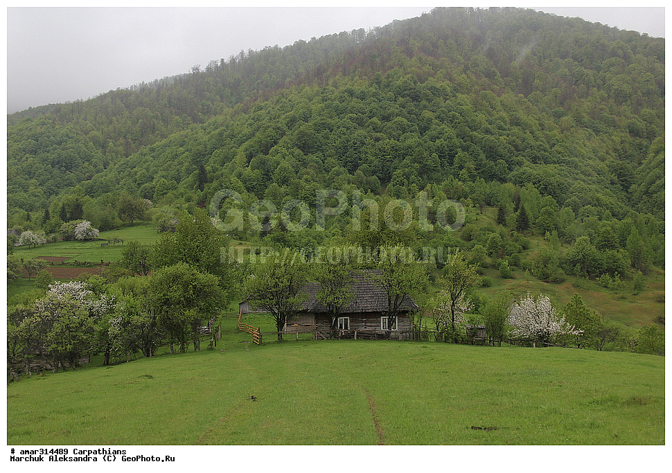 �������, �������, ����������