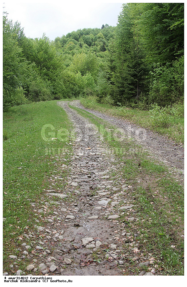 �������, �������, ����������