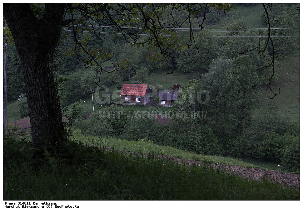 �������, �������, ����������