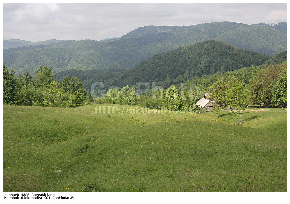 �������, �������, ����������