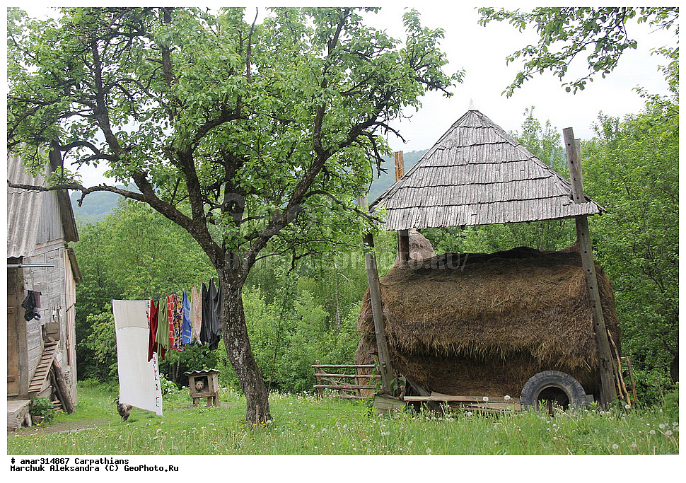 �������, �������, ����������