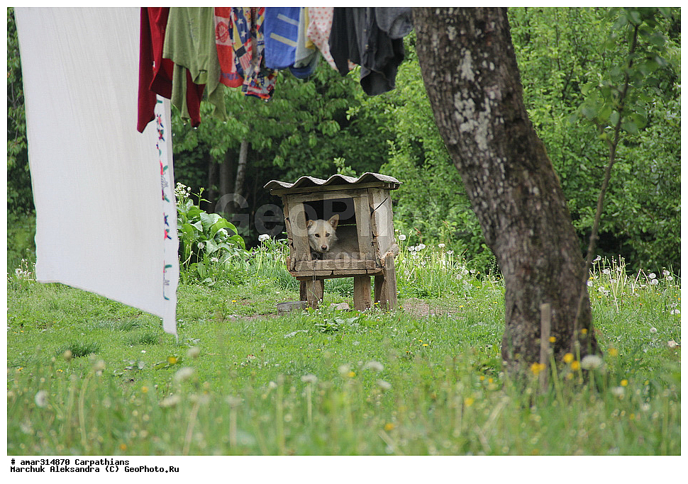 �������, �������, ����������