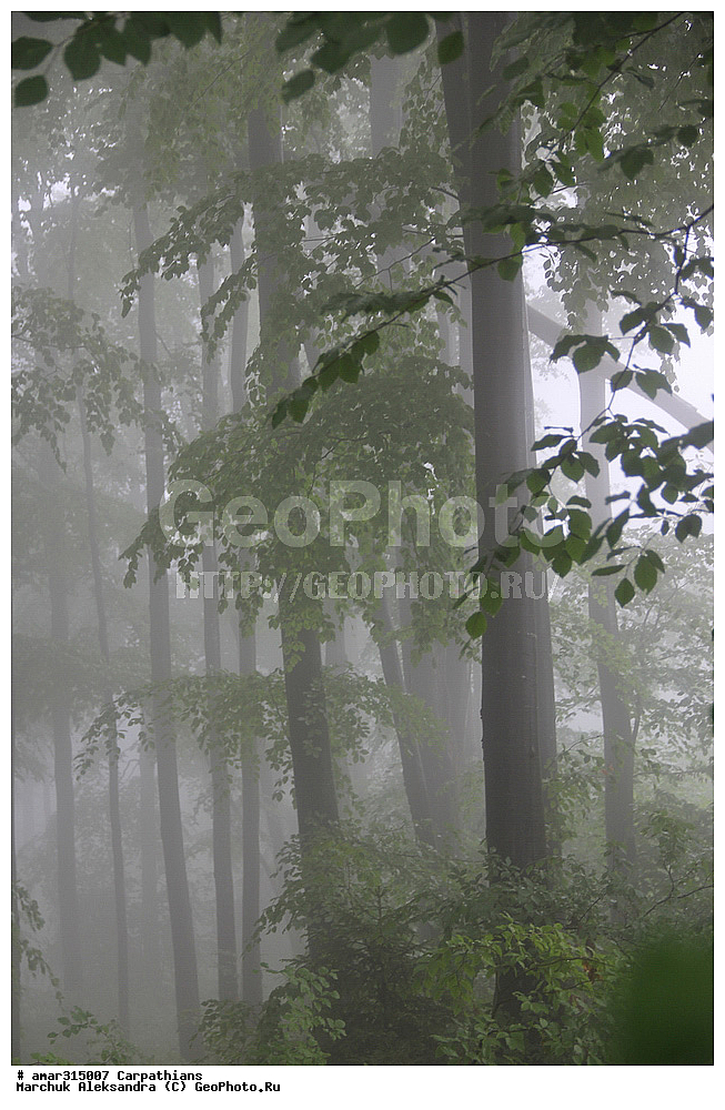 �������, �������, ����������