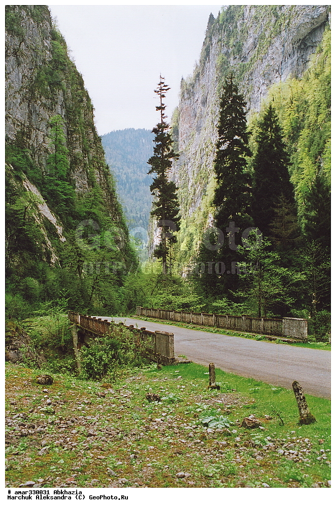 �������, ���������� �������, ������