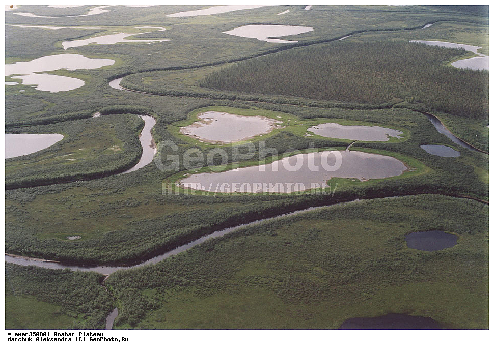 ������������ ����, ���������� �����, C����, ����, ��������