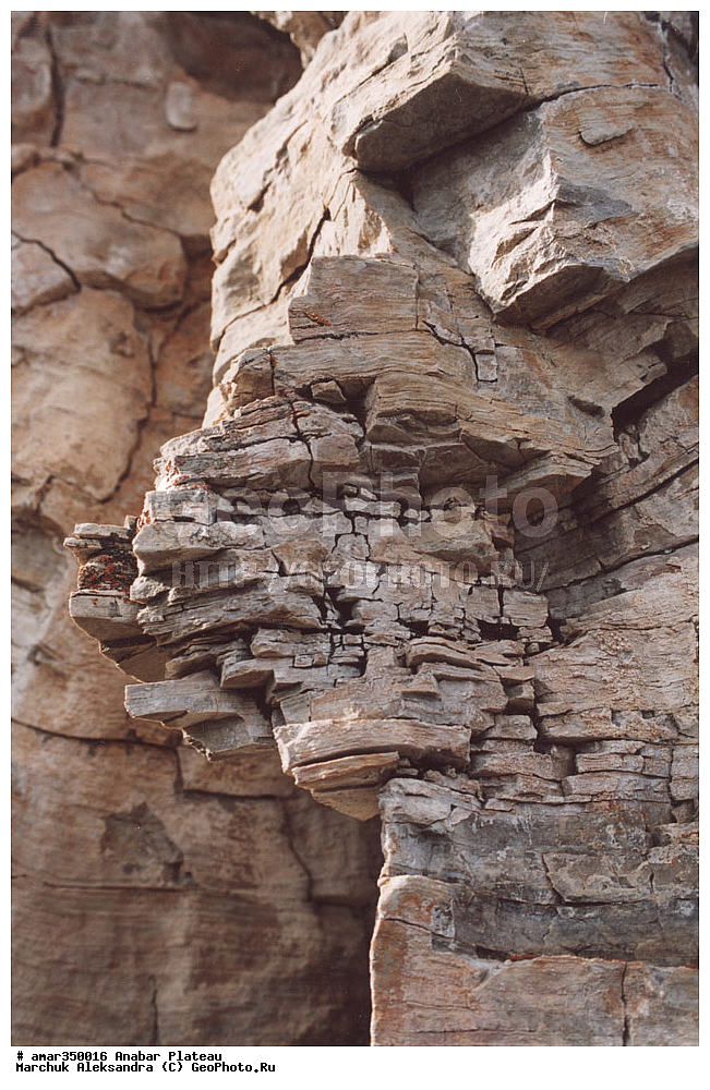 ������������ ����, ���������� �����, C����, ����, ��������