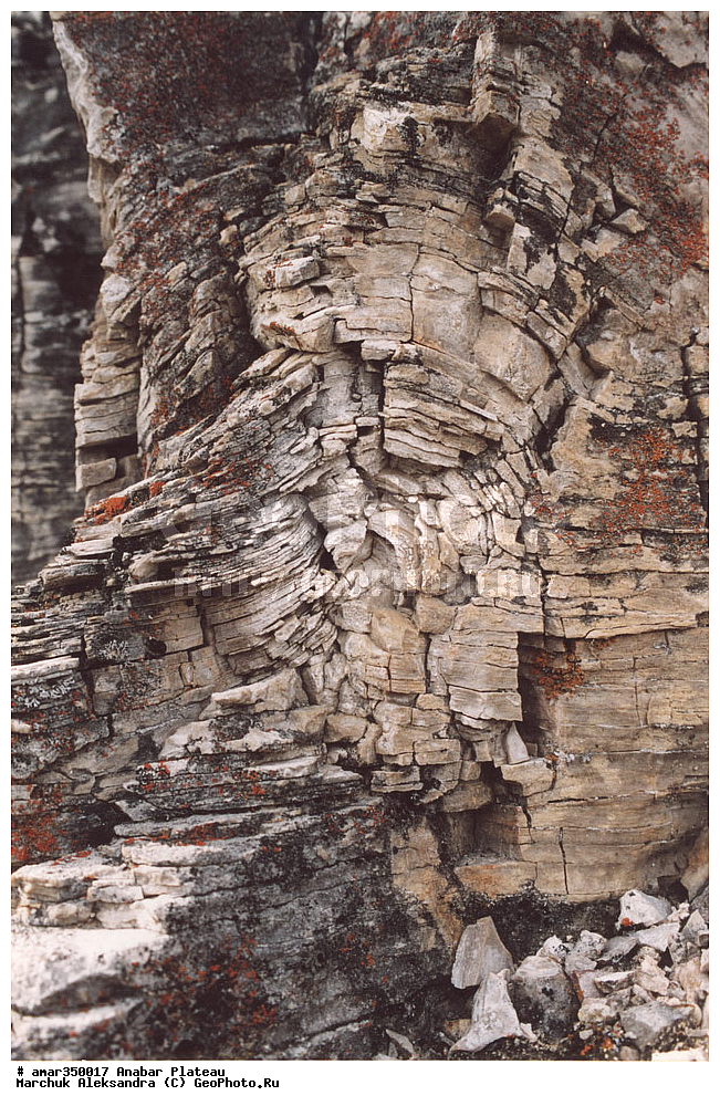 ������������ ����, ���������� �����, C����, ����, ��������