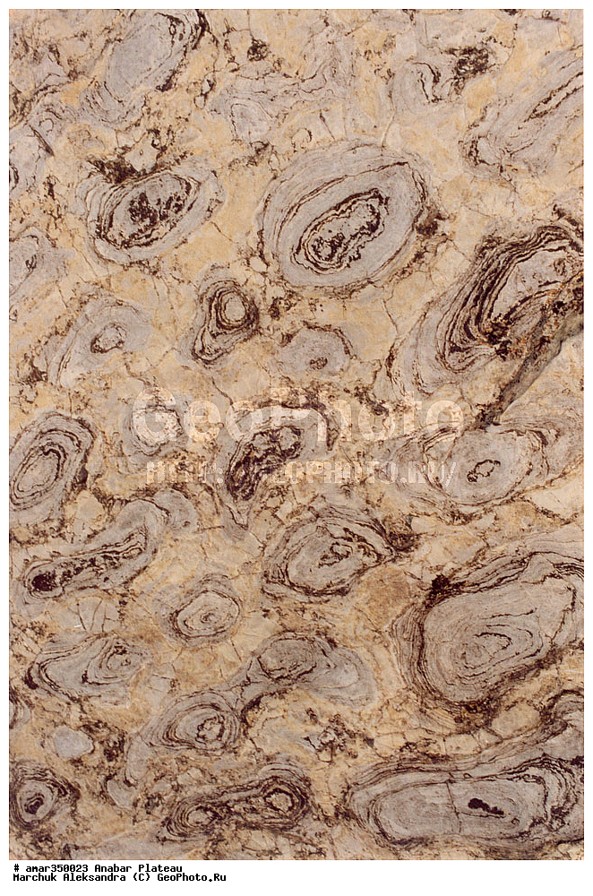 ������������ ����, ���������� �����, ������������� ���������, ������������