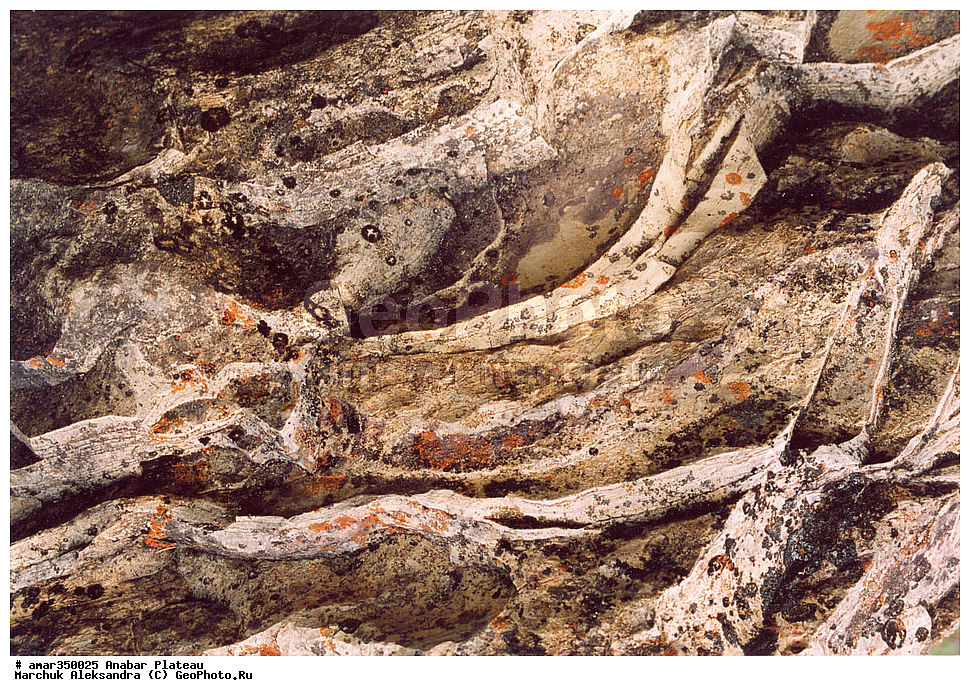 ������������ ����, ���������� �����, ������������� ���������, ������������