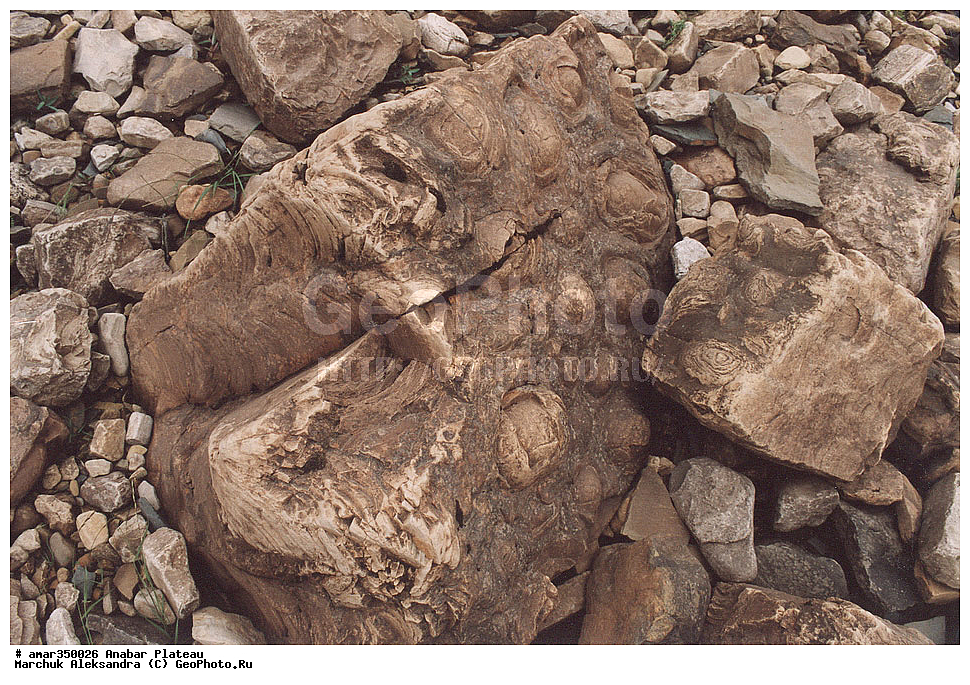 ������������ ����, ���������� �����, ������������� ���������, ������������