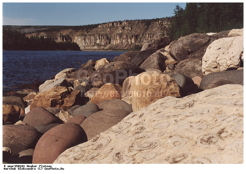 ������������ ����, ���������� �����, C����, ����, ��������