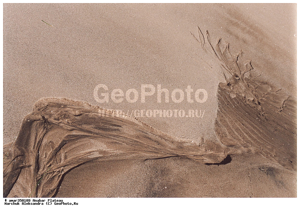 ������������ ����, ���������� �����, C����, ����, ��������