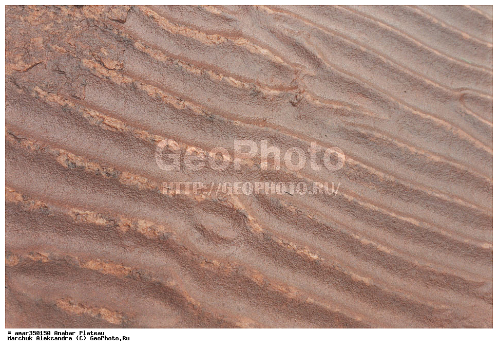 ������������ ����, ���������� �����, C����, ����, ��������