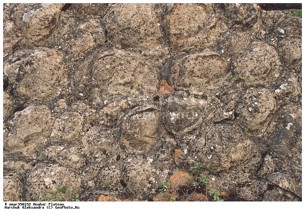 ������������ ����, ���������� �����, ������������� ���������, ������������