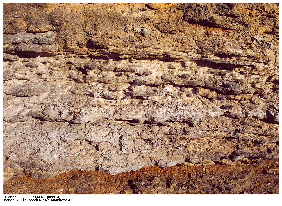 �������� ����������, ����, ������, �������������