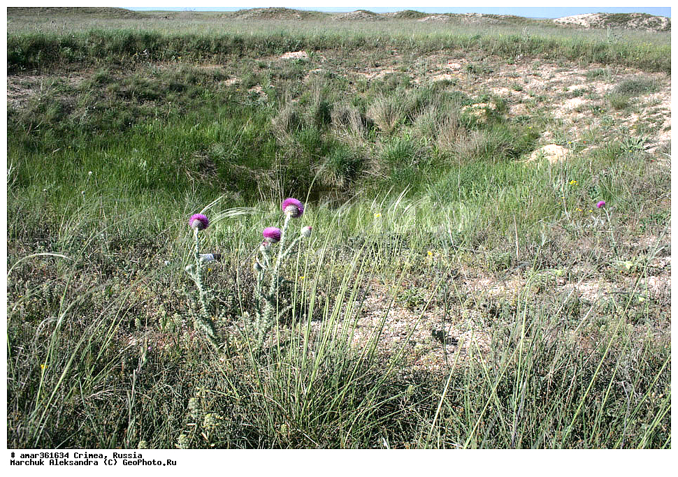 �������� ����������, ����, ������, ���������� �������, ���������� ����