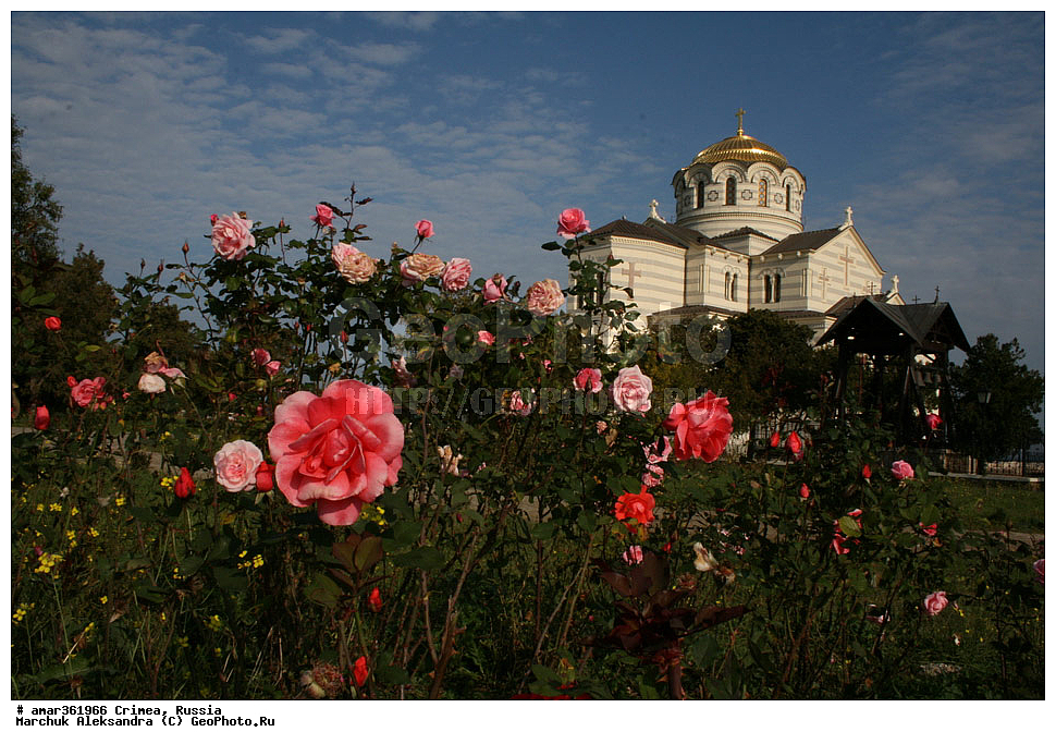 �������� ����������, ����, ������, ��������