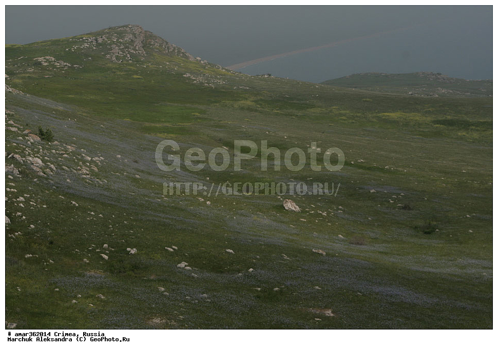 �������� ����������, ����, ������, ��������, ������������� �����, ���������. ������ ����, �������� ��������� ����������