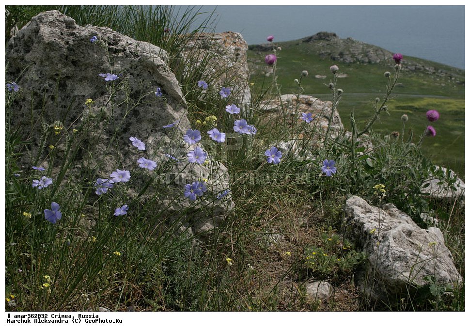 �������� ����������, ����, ������, ��������, ������������� �����, ���������. ������ ����, �������� ��������� ����������