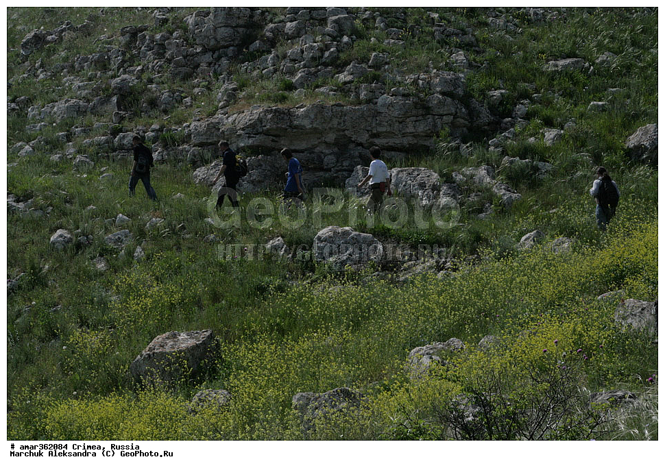 �������� ����������, ����, ������, ��������, ������������� �����, ���������. ������ ����, �������� ��������� ����������