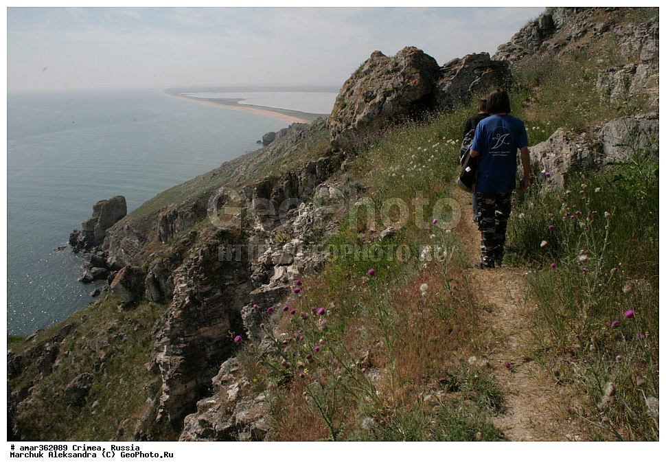 �������� ����������, ����, ������, ��������, ������������� �����, ���������. ������ ����, �������� ��������� ����������