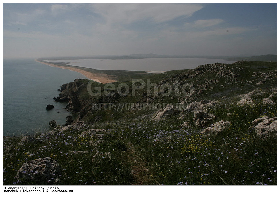 �������� ����������, ����, ������, ��������, ������������� �����, ���������. ������ ����, �������� ��������� ����������