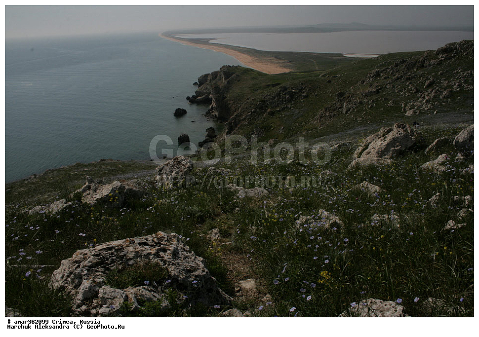 �������� ����������, ����, ������, ��������, ������������� �����, ���������. ������ ����, �������� ��������� ����������