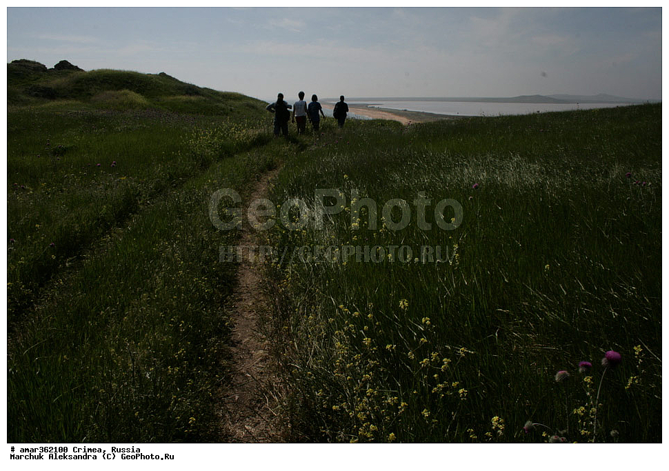 �������� ����������, ����, ������, ��������, ������������� �����, ���������. ������ ����, �������� ��������� ����������