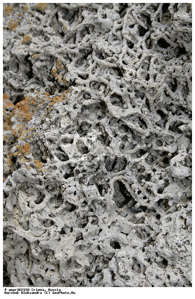 �������� ����������, ����, ������, �������������