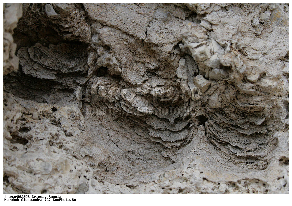 �������� ����������, ����, ������, �������������