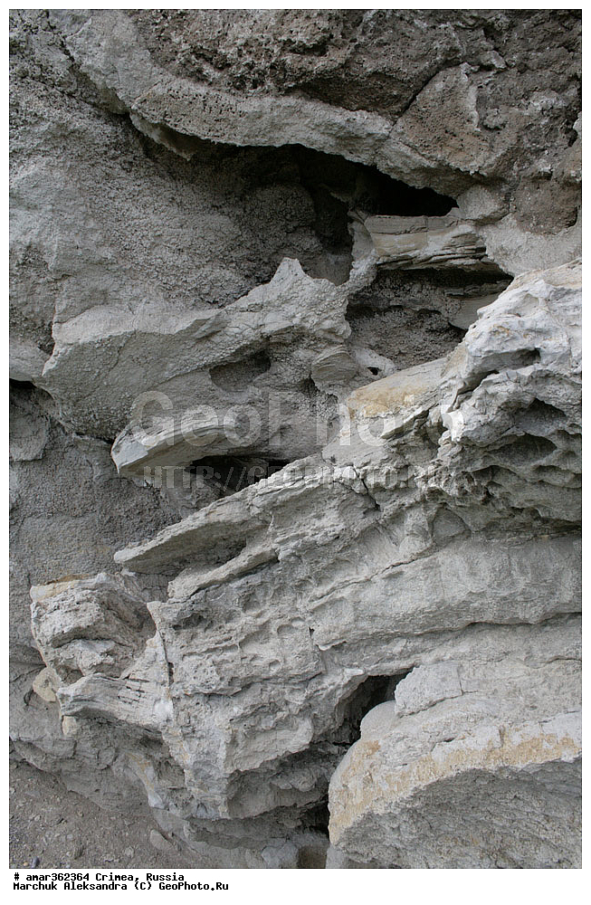 �������� ����������, ����, ������, �������������