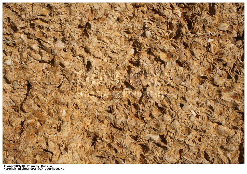 �������� ����������, ����, ������, �������������